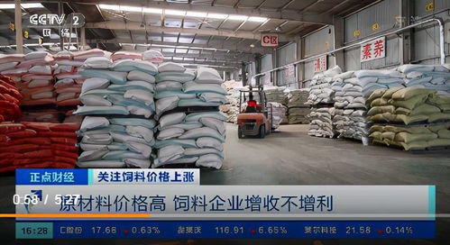飼料價(jià)格上漲的連鎖反應(yīng) 養(yǎng)殖戶虧損加劇，企業(yè)利潤承壓